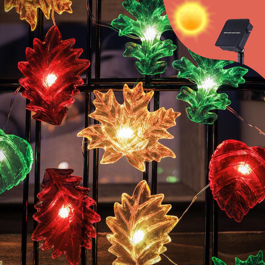 نورپردازی برای یلدا