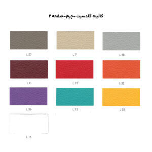 کالیته گلدسیت-چرم-صفحه 2