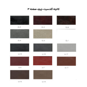 کالیته گلدسیت-چرم-صفحه 3